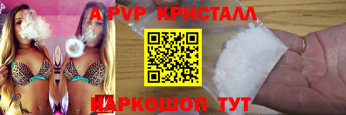 Alpha PVP СК КРИС  Вход с VPN  Аргун 