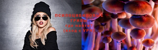 крисы Долгопрудный