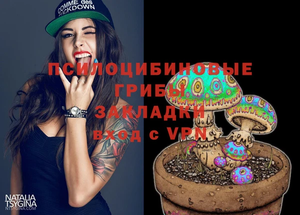 дмт Кострома