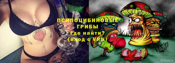 крисы Долгопрудный