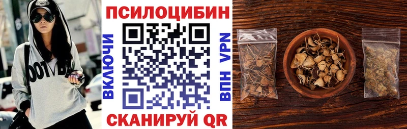 сколько стоит  Аргун  Галлюциногенные грибы ЛСД 