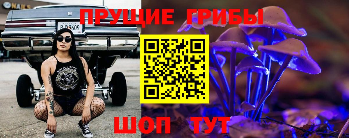 Галлюциногенные грибы Cubensis  Аргун 