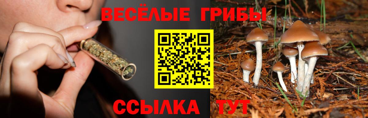 Аргун  купить наркотик  Вход с VPN  Псилоцибиновые грибы ЛСД 