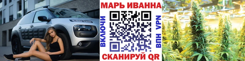Бошки Шишки семена  цены   Аргун 
